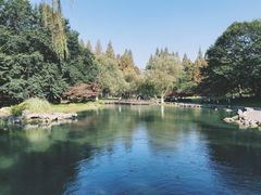 -九曜山