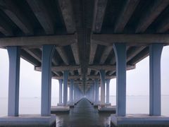 -宝安西湾红树林湿地公园