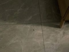 -东易日盛·数字化全案家装(总店)