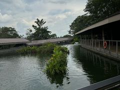 -河川生态园