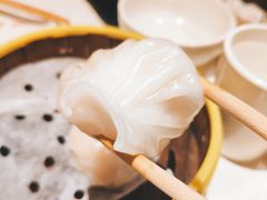 招牌虾饺黄皇-火齐潮汕砂锅粥(五道口店)