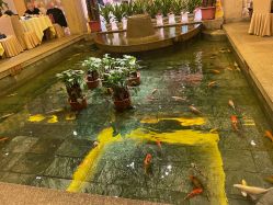 -惠食佳·宴会厅(滨江西路店)