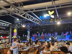 -渔家火锅·海鲜自助餐·演艺(亚龙湾天域酒店)