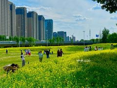 -长白岛森林公园