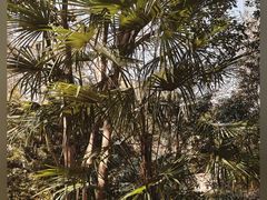 -人民公园-相亲角