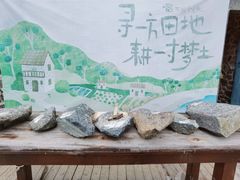 -石头会唱歌融来+北港岚台两岸交流中心