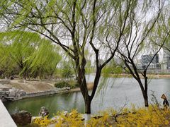 -大兴滨河森林公园