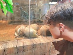 -Zoolung Zoolung动物主题公园(海信广场店)