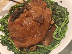 -龙悦湾酒家·八阵鱼生·渔人码头店