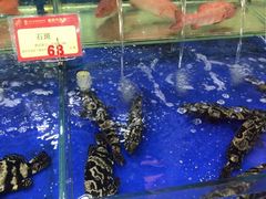 -东江海鲜酒家(艺都分店)