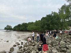 -宝安西湾红树林湿地公园