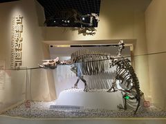 -国家自然博物馆