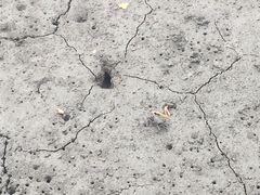 -东寨港红树林旅游区