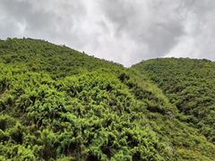 -乌江画廊(彭水苗族土家族自治县)
