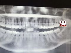 -上海市徐汇区口腔医院