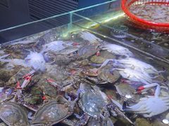 -聚盛源蒸汽海鲜火锅烤肉自助(巨川金海岸购物广场店)