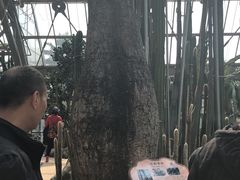 -南山植物园
