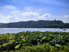 -湖畔居茶楼(湖滨店)