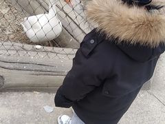 -太原动物园
