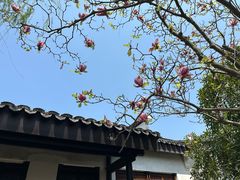 -尚贤河湿地
