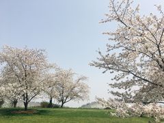 -上海辰山植物园