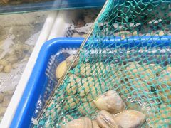 -海味当家·蒸锅海鲜(中山广场创始店)