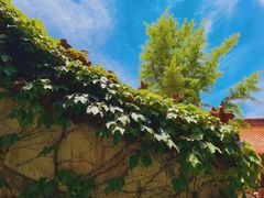 -天津盘山风景名胜区