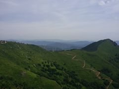 -空中草原