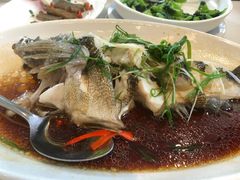 葱油笋壳鱼-绍兴饭店知遇楼(环山路店)