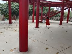 -光明农场大观园
