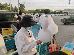 -羊亭河湿地公园