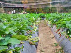 -厦门国家会计学院