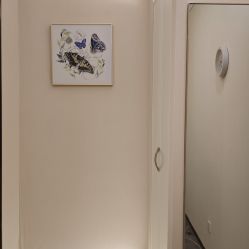 -美丽田园