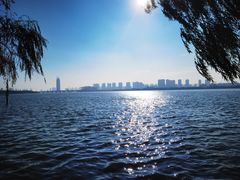 -无锡蠡湖国家湿地公园-蠡园