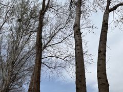 -东郊湿地公园