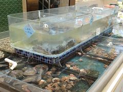 -天盛海鲜烧烤大排档·本地小海鲜·牟平腿穗子(幸福店)
