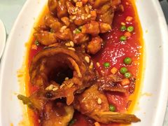 松鼠桂鱼-瑞福园联谊餐室(茂名南路店)