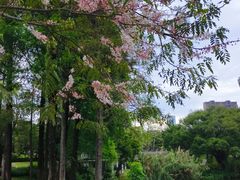 -四海公园(南山区)