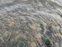 -银沙滩浴场