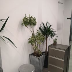 -Y-STUDIO原理