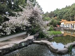 -富乐山