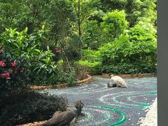 -南宁荔园维景国际酒店·荔园中餐厅