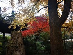 -诸葛双忠祠