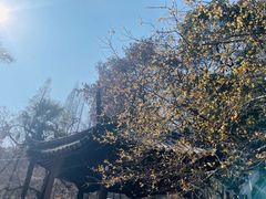 -虞山风景区