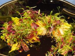 -宴周康·精致江浙菜(周浦店)