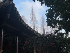 -梅园