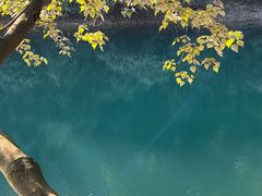 -鼎湖山风景区