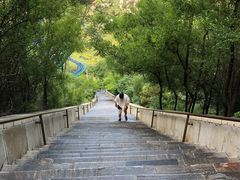 -抱犊寨风景区
