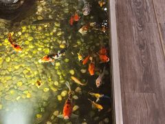 -衡山汇·高级粤菜(霄云路店)