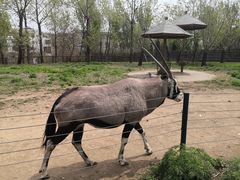 -大连森林动物园